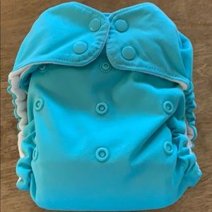 Blueberry simplex cloth diaper